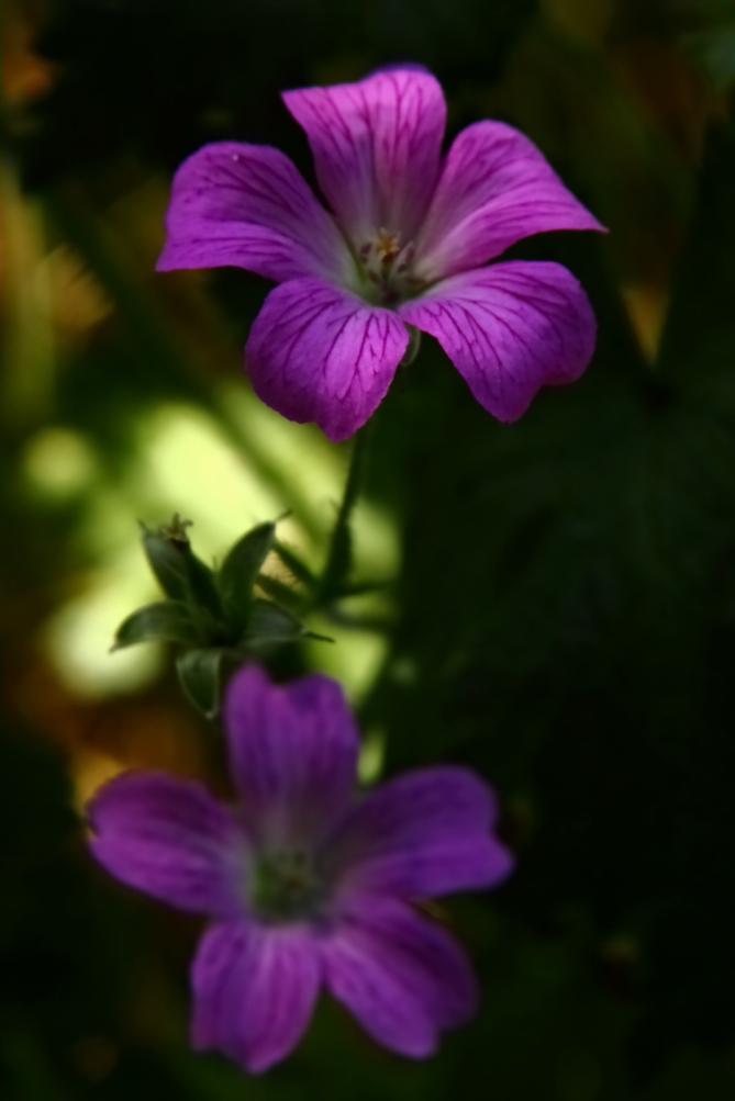 2011 05 27 IMG 32510e